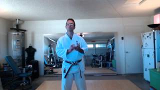 Shotokan Home Training  Kihon Basics [upl. by Hgielek819]