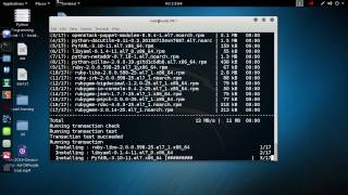 Openstack Mitaka Architecture and Installation on RHEL7CentOS7Fedora  Tutorial  1 [upl. by Meredeth725]