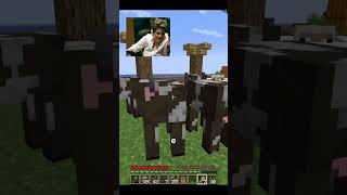 A Ilha Maluca EP 19  Estocar vento  minecraftengraçado minecraftmemes [upl. by Dudley732]