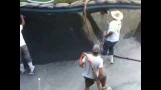 Black Diamond Brite Plaster on Gunite Pool by Affordable Pools [upl. by Nadnerb]