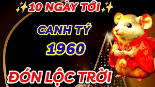 TIẾT LỘ SỰ THẬT 10 NGÀY TỚI  CANH TÝ 1960 ĐẾN THỜI ĐỔI VẬN  SỐ PHẬN GIÀU SANG BƯỚC SANG TRANG MỚI [upl. by Eirovi]