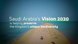 Protect our environment Protect our present Protect our future  Sustainable Saudi Vision [upl. by Akenal155]