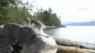 The Port Alberni Yacht Club  Shaw TV Port Alberni [upl. by Lathe]