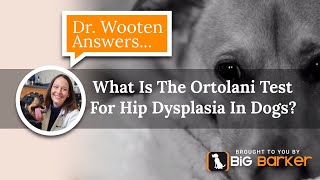 What Is The Ortolani Test For Hip Dysplasia In Dogs  Dr Wooten Answers [upl. by Yance]