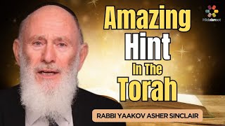 A Fascinating Hint in the Torah  Parshat Tetzave  Rabbi Yaakov Asher Sinclair [upl. by Drofnats]