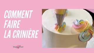 GÂTEAU LICORNE comment le décorer à la Poche à Douille et comment faire la Crème Multicolore [upl. by Feodora]