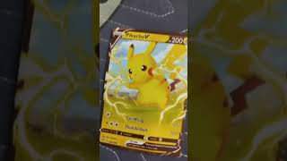 Pikachu vs raichu [upl. by Dodi]