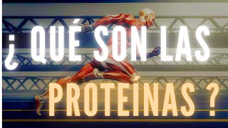 ¿ QUÉ SON LAS PROTEÍNAS Y PARA QUE SIRVEN [upl. by Yelsgnik60]