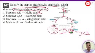 Identify the step in tricarboxylic acid cycle which does not involve oxidation of substrate [upl. by Ruiz913]