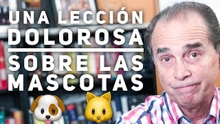 Episodio 1581 Una Lección Dolorosa Sobre Las Mascotas [upl. by Nhguaval262]