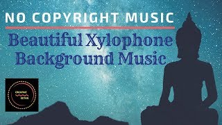 NO COPYRIGHT MUSIC Beautiful Xylophone Background Music [upl. by Aneehsirk323]