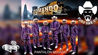 Comando Norteño  Huapango Pasito Perron ♪ 2017 [upl. by Jolene]