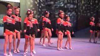 Little Wildcats ELITE 2012 [upl. by Yecram348]