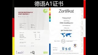 德国和奥地利申请家庭团聚需要的德语A1证书  DEYU10020181011第2期 [upl. by Anyzratak]