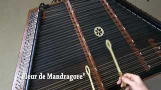 quotFleur de Mandragorequot  Hammer Pattern Tutorial  Hammered Dulcimer [upl. by Levitus193]