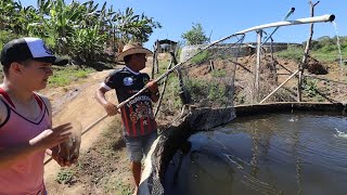 EXPERIÊNCIA USANDO UM NOVO MODELO DE TANQUEREDE PARA MELHORAR O DESENVOLVIMENTO DOS PEIXES [upl. by Ynnel]