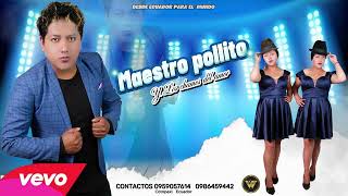 Tu lo matastes Maestro pollito y Los chamos del amor [upl. by Fredia200]