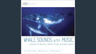 Whale Sounds With Music [upl. by Ylimme]