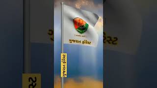 Gujarat forestarek sapana gujarat forestar stats video [upl. by Candis]