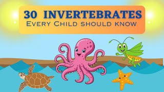 Invertebrates For Kids  30 Invertebrates That Every Child Should Know [upl. by Spalla]