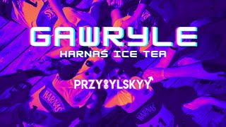 Gawryle  Harnaś Ice Tea Przybylskyy Vixa Bootleg 2024 [upl. by Barn]