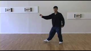 Yang Family Tai Chi Step Back Repulse Monkey [upl. by Nedia]