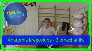 Anatomia Kręgosłupa  Biomechanika 6 FizjoTerapia HD [upl. by Ylicis]