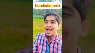 Noakhailla pola jokhon borishal  ফানি ভিডিও।comedy fannyentertainment [upl. by Trumaine190]