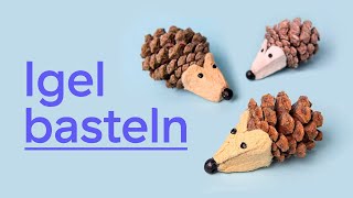 Süße Igel aus Tannenzapfen basteln [upl. by Oilla452]