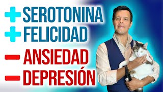 7 formas de subir la serotonina naturalmente y reducir la Ansiedad la Depresión y el Estrés [upl. by Ssirk]