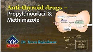 Antithyroid drugs  Propylthiouracil amp Methimazole  YR Pharma Tube  Dr Yerra Rajeshwar  Dr YR [upl. by Hsak]