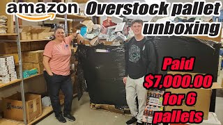 Unboxing a pallet of Amazon Overstock  Pet items Clothing Toys and more [upl. by Naharba]