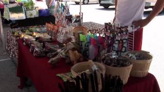 Village of Lisle Illinois  French Market at PrairieWalk Pond [upl. by Eceerehs825]