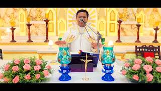 Sunday Holy Mass October 15 530 AM I Malayalam I Syro Malabar I Fr Bineesh Augustine [upl. by Nosyt]