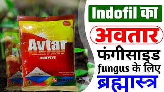 INDOFIL AVTAR  अवतार इन्डोफिल  fungicide  zineb  hexaconacole [upl. by Einomrah]