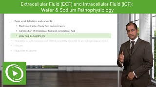 Extracellular Fluid and Intracellular Fluid Water amp Sodium Pathophysiology – Nephrology  Lecturio [upl. by Oringas]