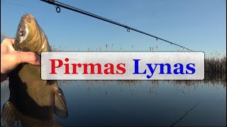 Pirmas Lynas  Gabrielius Ser [upl. by Demott]