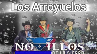 Los Arroyuelos  Novillos De La Sierra Re En Vivo [upl. by Cypro]