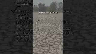 Sediment Pollution Causes Sources [upl. by Allevon]