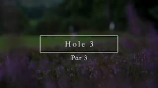 Farnham Golf Club  Hole 3 [upl. by Kemp845]