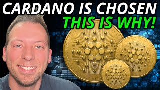 CARDANO ADA  THIS IS WHY PEOPLE WILL CHOOSE CARDANO [upl. by Ger]