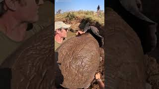 Baby Elephant And Mom Are Stuck In A Well Full Of Water  The Dodo [upl. by Anderea]