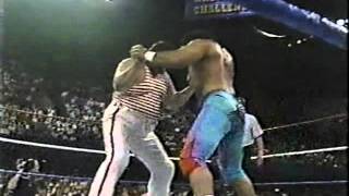 Tugboat vs Haku WWF PTW 1990mpg [upl. by Anuayek397]