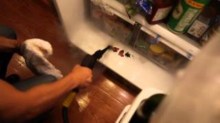 How to Steam Clean Refrigerator and Freezer  Daimer Steam Cleaners [upl. by Hindu]