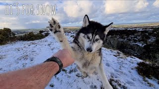 Sherpa finally gets a little snow [upl. by Issie]