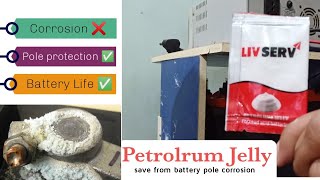 Petroleum Jelly  How to use Petroleum jelly for a Battery  Battery terminal protection [upl. by Kara855]