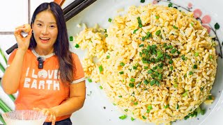 3 Minutes Egg Fried Rice Recipe [upl. by Nosnarb430]