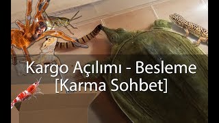 Paket Açılımı  Besleme VLOG  Agresif Kaplumbağa  Karidesler  Akrep vs [upl. by Nirek]