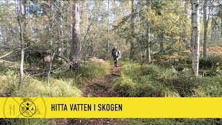 Hitta vatten i skogen överlevnad [upl. by Aleras]