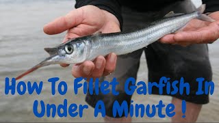 The Quickest Methods for Filleting Garfish 2 Ways [upl. by Aniuqahs]